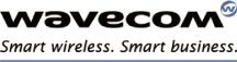 (WAVECOM LOGO)