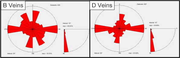 (Vein MEASUREMENTS MAP)