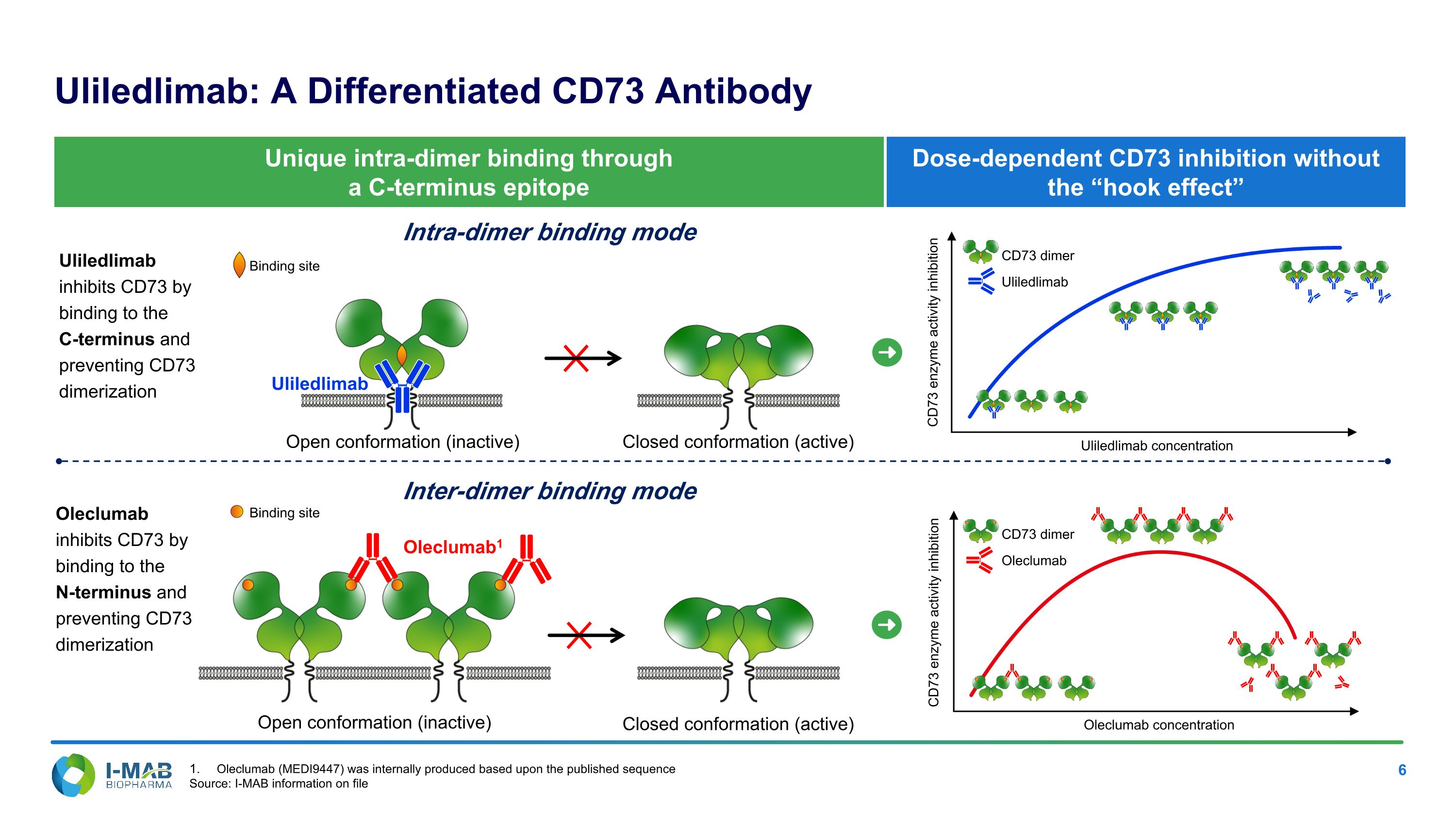 Slide 6