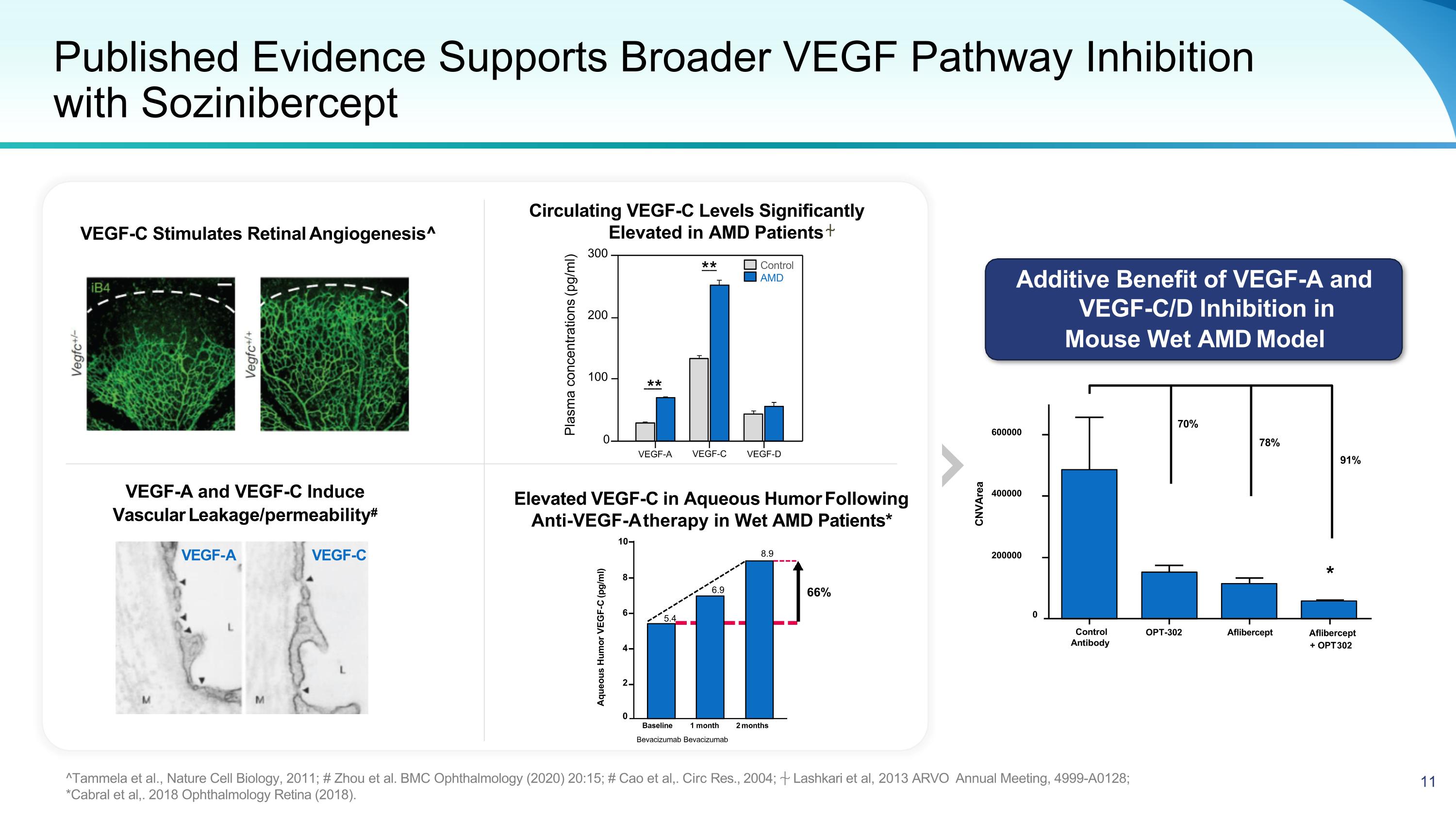 Slide 11