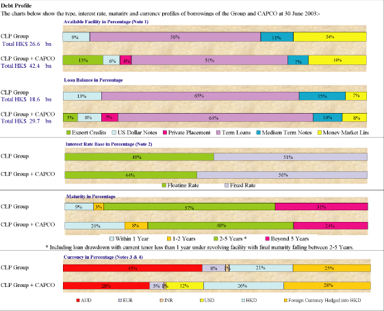 (DEBT PROFILE CHARTS)