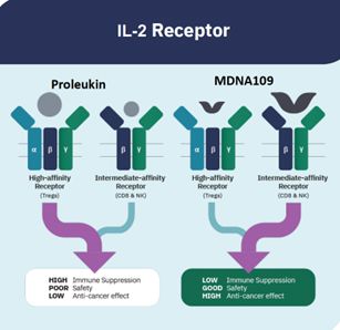 il2receptor.jpg