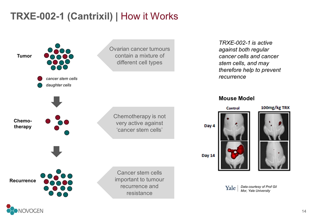 Slide 14