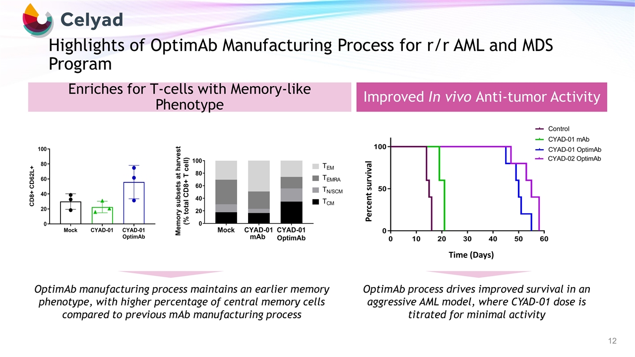 Slide 12