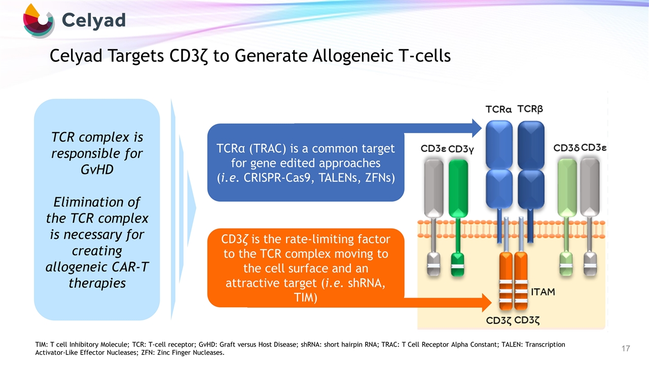 Slide 17