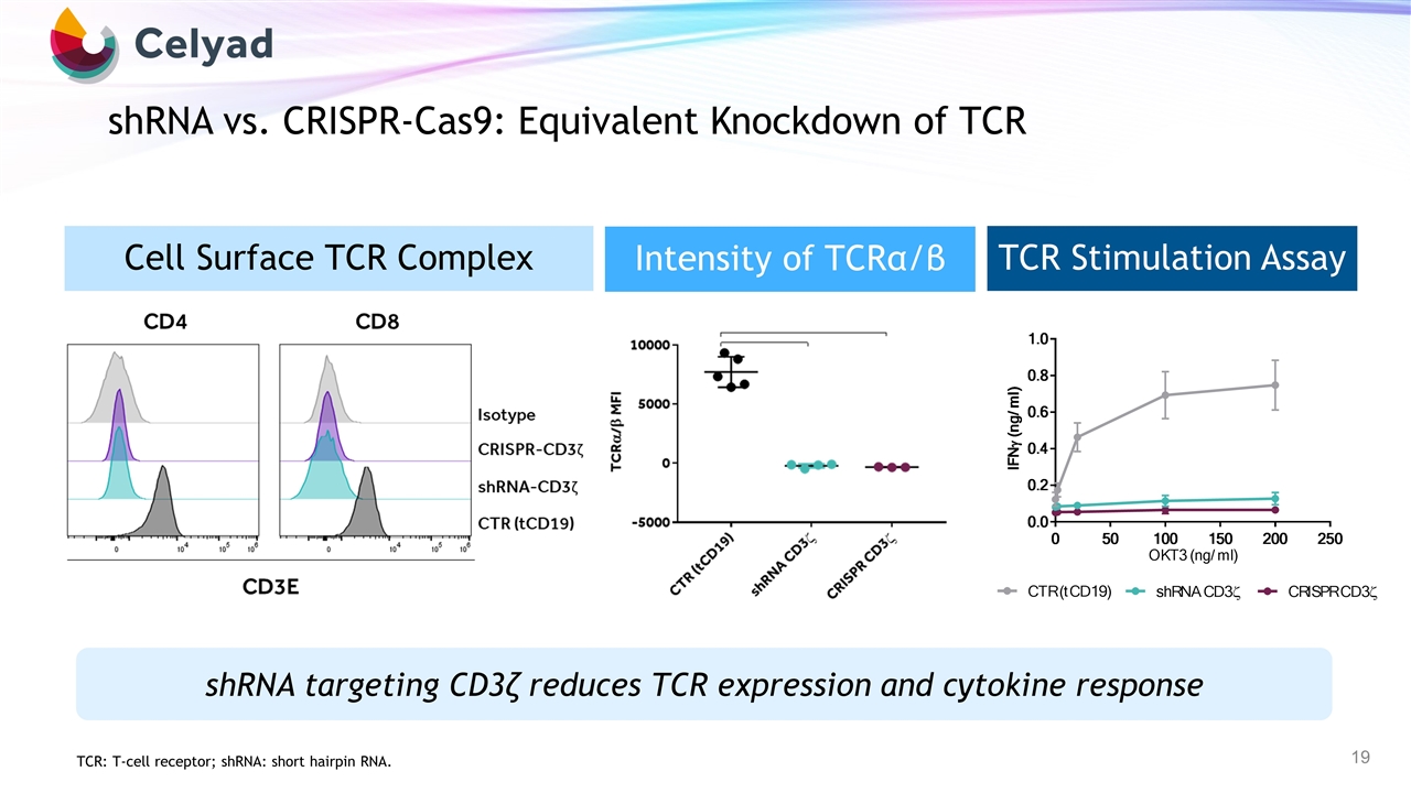 Slide 19