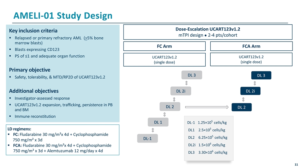 Slide 11