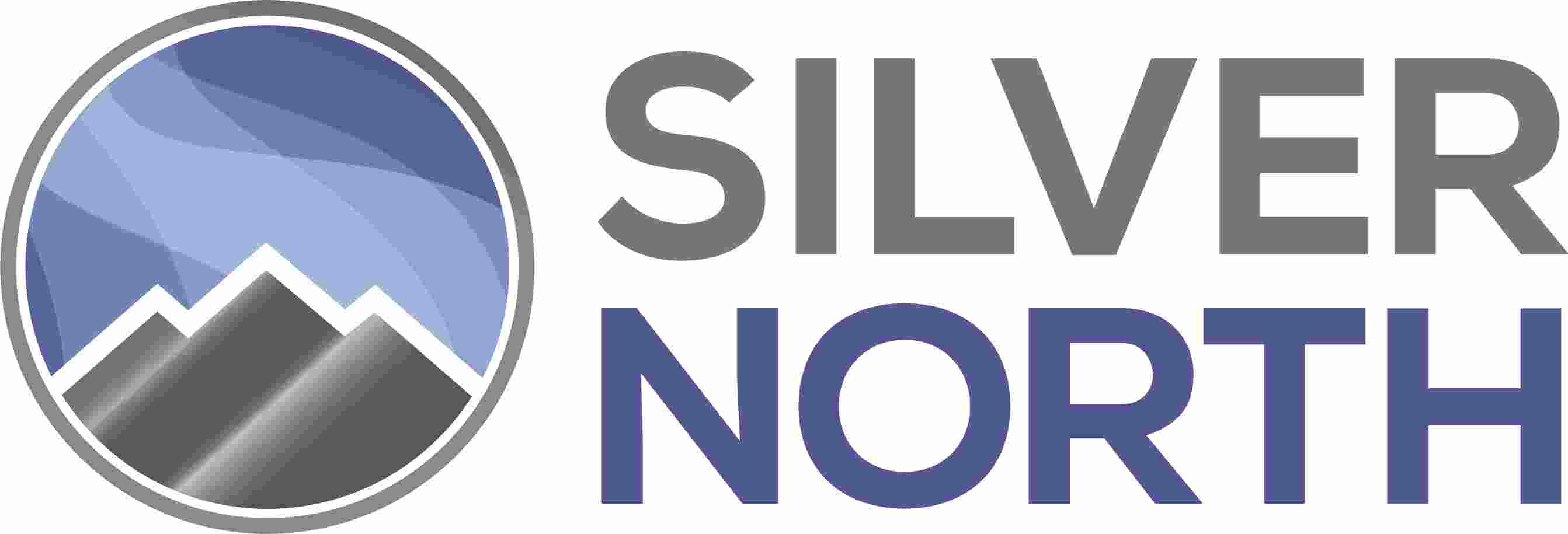 Silver North Logo.jpg