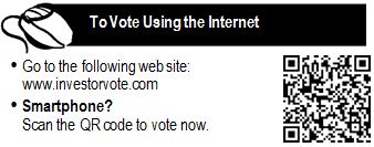 voteusinginternet.jpg