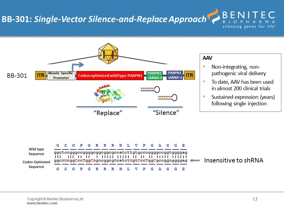 Slide 17