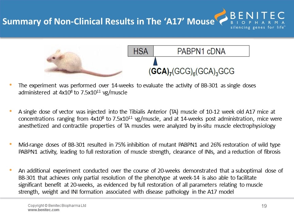 Slide 19