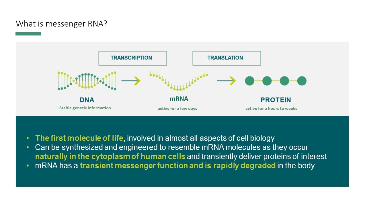 Slide 9