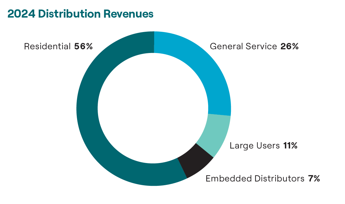 a2024distrevenues_roundedp.jpg
