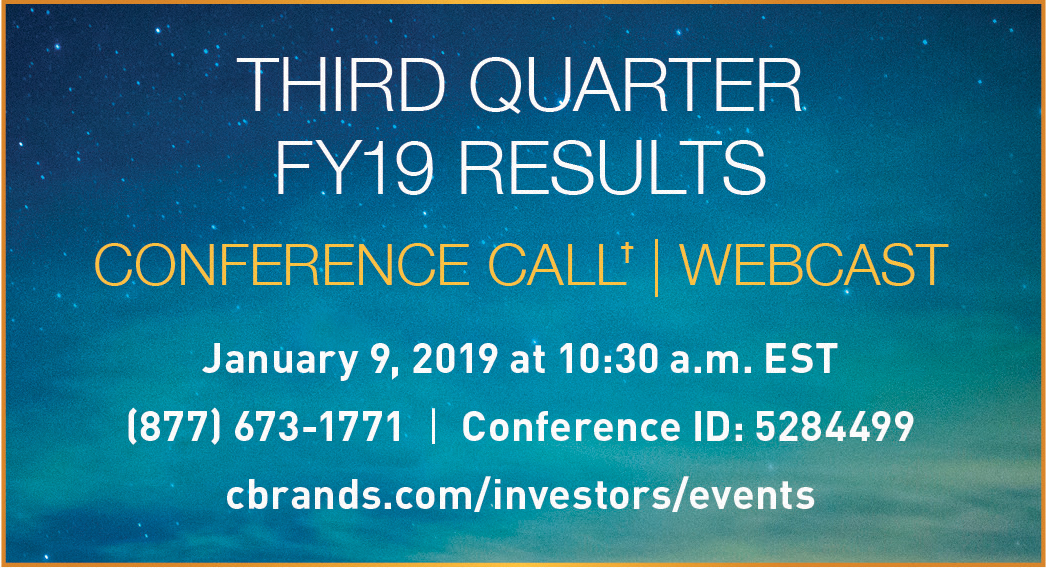 fy2019q3_webcast.jpg