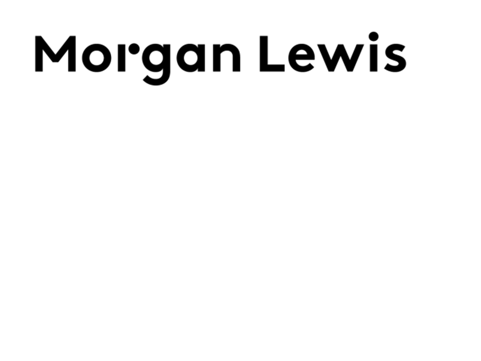 morganlewislogoa07.gif