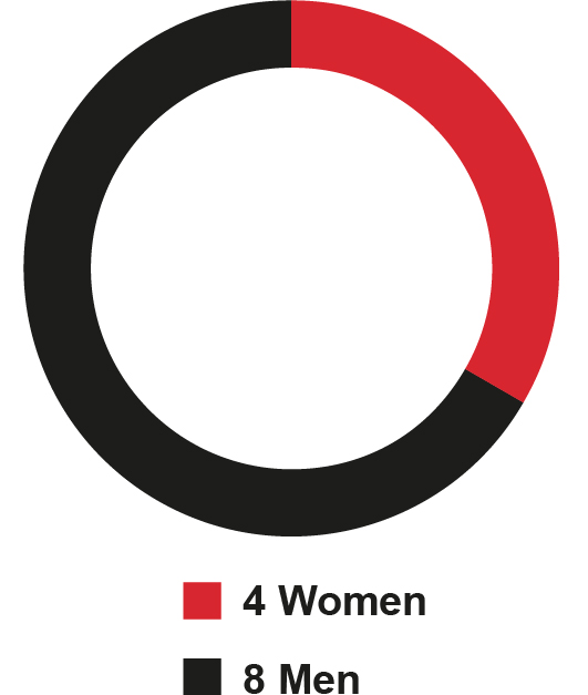 piechart_boardgender.jpg