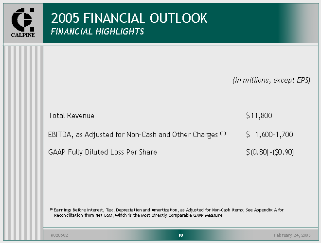 (2005 FINANCIAL OUTLOOK IMAGE)