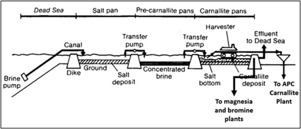 image_22e.jpg