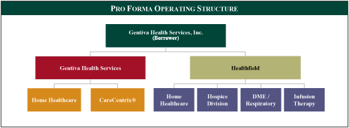 (PER FORMA OPERATING STRUCTURE)