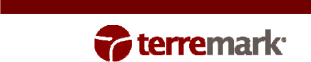 (TERREMARK LOGO)