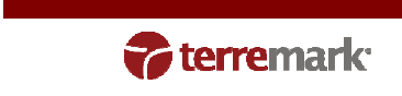 (Terremark Logo)