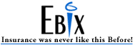 (EBIX LOGO)