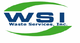 (WSI Logo)