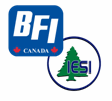 (BFI Logo)