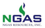 (NGAS LOGO)