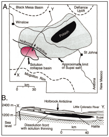 (MAP)