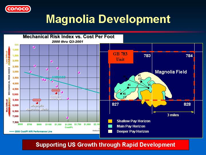 (MAGNOLIA DEVELOPMENT)