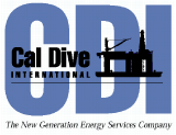 (CDI LOGO)