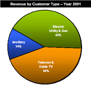 (REVENUE BY CUSTOMER TYPE - YEAR 2001 PIE CHART)