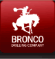 (BRONCO LOGO)