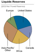 (PIE CHART)