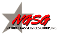 (NGSG LOGO)