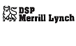 (DSP MERRILL LYNCH LOGO)