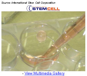 (INTERNATIONAL STEM CELL CORP. PHOTO)