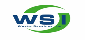 (WSI Logo)