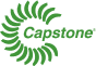 (CAPSTONE LOGO)