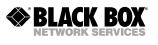 (BLACK BOX NETWORK SERVICES LOGO)