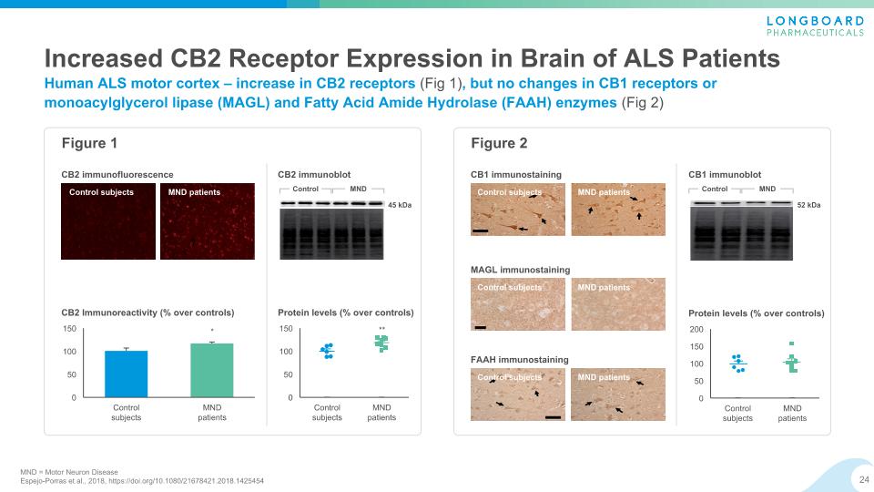 Slide 24