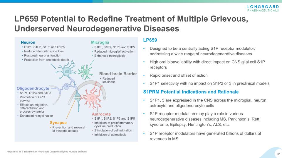 Slide 31