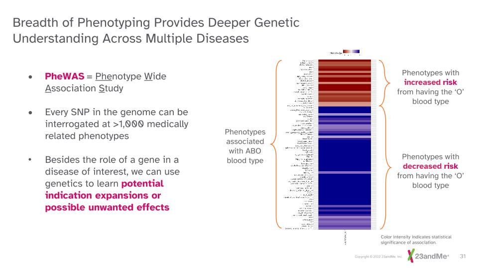 Slide 31