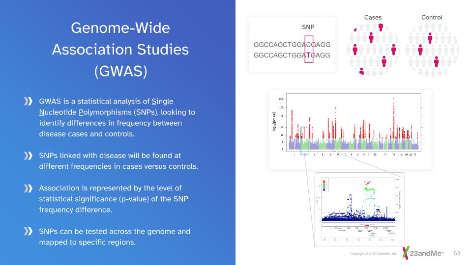 Slide 63