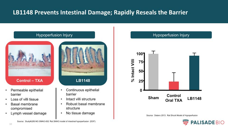 Slide 10