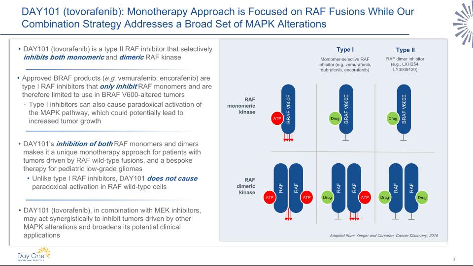 Slide 8