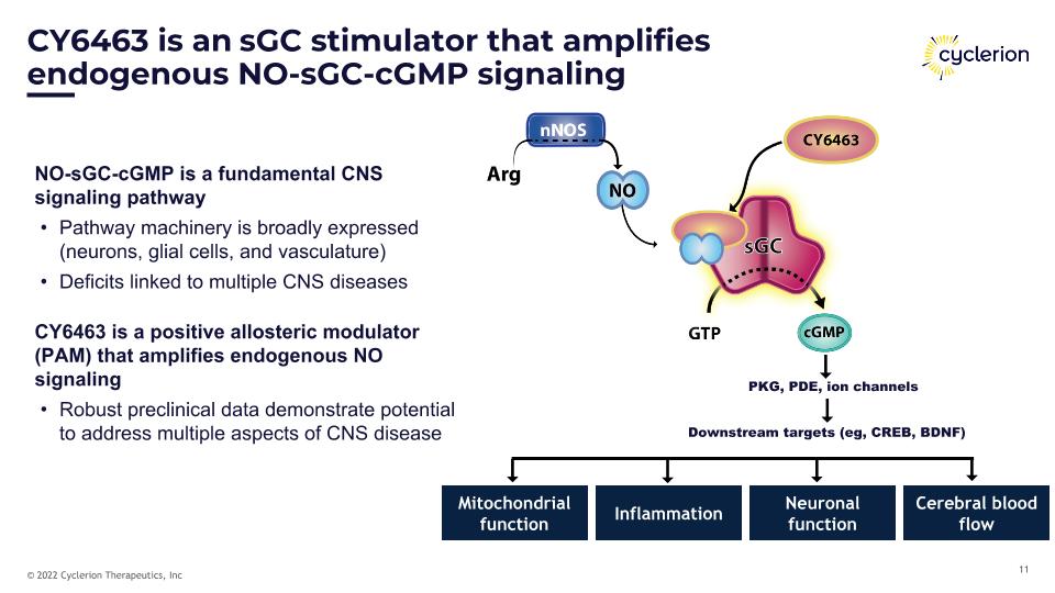 Slide 11