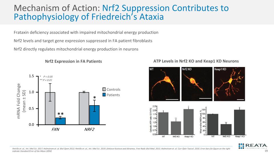 Slide 19