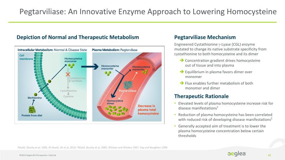 Slide 12